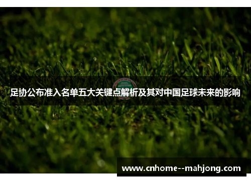 足协公布准入名单五大关键点解析及其对中国足球未来的影响