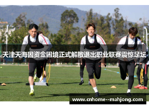 天津天海因资金困境正式解散退出职业联赛震惊足坛 天津天海因资金困境正式解散退出职业联赛震惊足坛