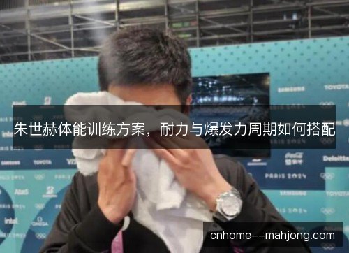 朱世赫体能训练方案，耐力与爆发力周期如何搭配